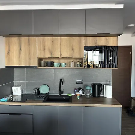 Apartament Raccoon Paradise Hill B19 Kopaonik