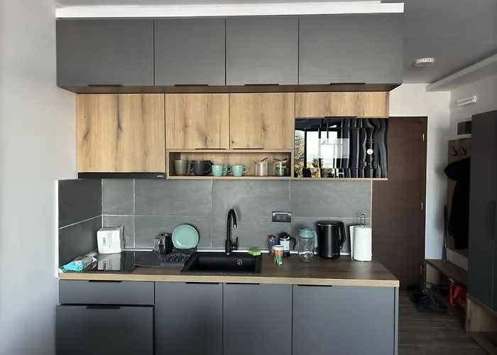 Апартаменты Raccoon Paradise Hill B19 Копаоник