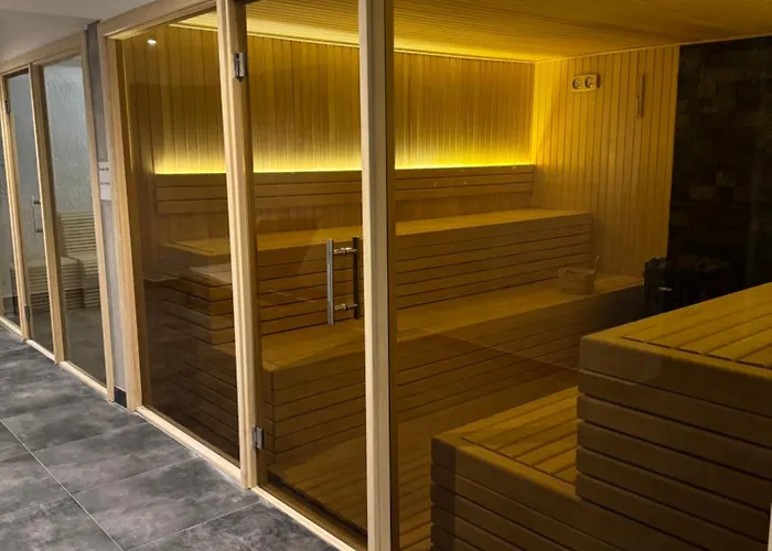 Raccoon Paradise Hill B19 Копаоник