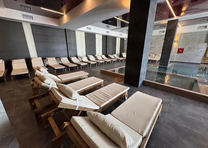 Апартаменты Raccoon Paradise Hill B19 Копаоник