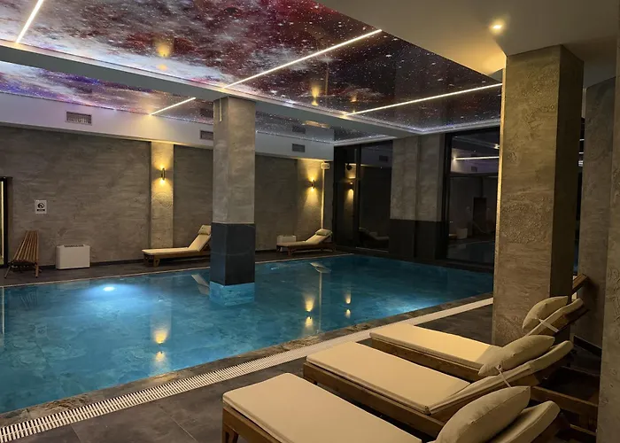 Raccoon Paradise Hill B19 Копаоник